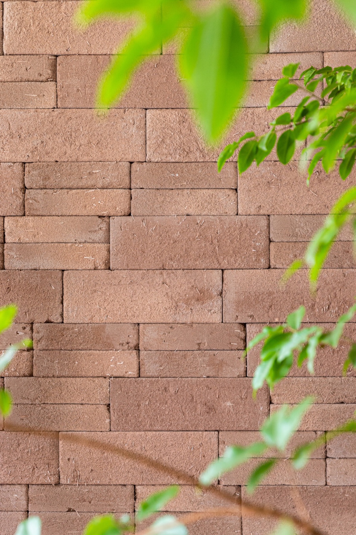 Adobe Terracota — Castelatto